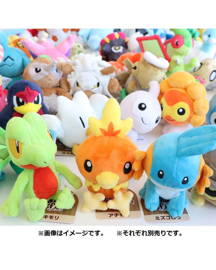 Pokémon fit Plush 255 Torchic