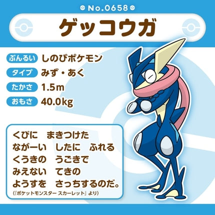 Pokémon fit Plush 658 Greninja